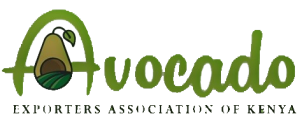 avocado exporters