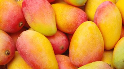 mango fruits